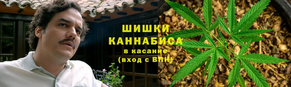 PSILOCYBIN Богородицк